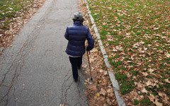 Шеф на хосписа и шеф на общинския съвет... Гласуват ли "под строй" хора с деменция в Берковско?