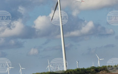 Вятърната енергия осигури над 15 процента от електричеството в Европа през изминалото денонощие