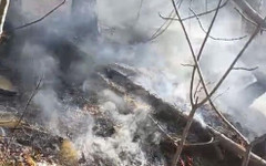 Сезонът на пожарите в Гърция започна, регистрирани са над петдесет