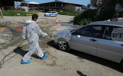 Проблемът с разпространението на шап в Кипър се задълбочава; над сто са заразените ферми