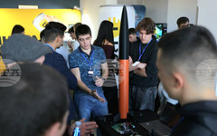 избират самостоятелната заетост, България остава сред страните с най-нисък дял