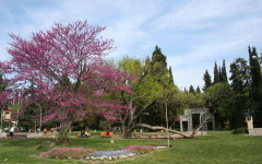 "Зелен, зелен Гергьовден" превзема "Аязмото" в Стара Загора – вижте какво са подготвили за децата