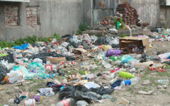 Битка с боклука в "Столипиново": Липсата на контейнери остава основен проблем