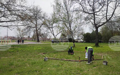 Започна благоустрояването на парка в Елхово с инвестиция от близо 340 хиляди евро