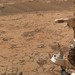 Марсоходът Curiosity на NASA откри "органични градивни елементи на живота" на планетата