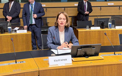 Нейнски: Единственият сигнал за чужда намеса на изборите е препечатана статия на "Russia Today"