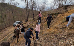 Ученици от Мадан засадиха млади дръвчета