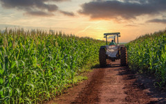 50 свободни работни места на човек: Селскостопанският сектор на Украйна е на ръба