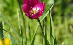 Много слънце и температури над 20° ни очакват през уикенда