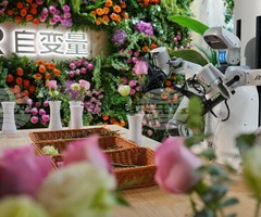 Китайските хуманоидни роботи могат да бягат и да танцуват, но домакинската работа все още е предизвикателство за тях