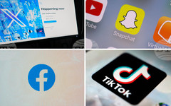 АПА: Австрийското правителство изслуша съветите на експерти във връзка с планирана забрана на социалните мрежи за деца под 14 г.