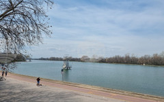 Фондация "Съвет за спортно развитие - Пловдив" и район "Западен" в града организират масов крос