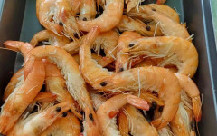 Вирус от скариди засяга хората, протича тежко и има риск за зрението и кръвното