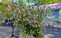 Кулинарно шоу, фолклор и изложение на местни продукти са включени в празника на подправката самардала в Нова Загора