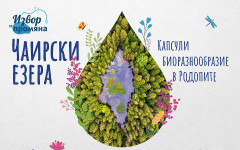 DEVIN и фондация "Биоразнообразие" създадоха първия в България наръчник за възстановяване и опазване на торфища