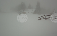 Около 10 см нов сняг наваля в Пампорово