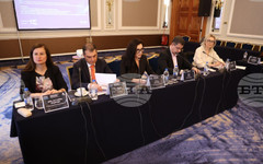 Ако държавата превърне медицинския туризъм в своя политика, преките приходи биха достигнали 700 млн. евро, каза Свилена Димитрова