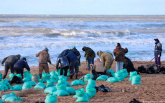 Колко тревожен е нефтеният разлив в Черно море?