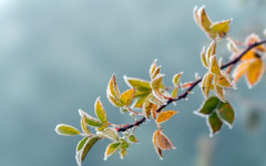 Времето в четвъртък: Отрицателни температури и опасност от слани в 7 области у нас (КАРТА)