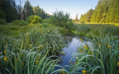 Brother: Хората могат да запазят природните ресурси, вместо да ги експлоатират