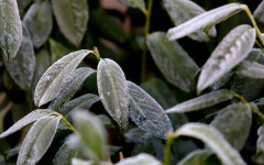 НИМХ обяви жълт код на 23 април в 7 области. Не е за дъжд