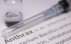 След разкритията за месо с антракс: Какви са симптомите на заразата при човека и как да се предпазим