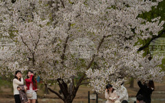 Китай представи план за интегриране на децата и младите хора в градската среда