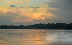 350 км древни пътища отпреди 2700 години опасват уж непроходимата джунгла на Амазонка