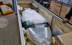 Ученици от Чепеларе ще участват в международното състезание "Shell Eco-marathon"