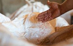 Русия удължава квотите за износ на торове до края на ноември