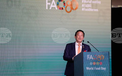 САБА: Йеменският министър на селското стопанство се среща с генералния директор на ФАО