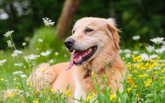 Прогноза за времето - 23 април 2026 г. (четвъртък)