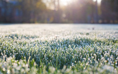 До 13° в София днес, има опасност от слани в североизточните райони на страната