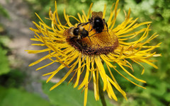 Слънце и облаци се редуват днес, в неделя до 25 градуса