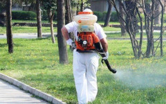 Пръскат зелените площи и дворовете на детските градини в Дупница