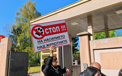 Протест в защита на животните: СГС заседава по делото срещу Габриела Сашова и Красимир Георгиев