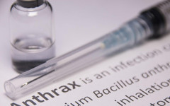 Д-р Сергей Иванов за антракса: Местните ветеринарни власти буквално са "проспали" началото на епидемията