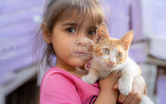 Фотоизложбата "Корени и криле" на Николай Тенев ще бъде открита в Стара Загора