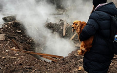 Путин явно е решил да срине родния град на Зеленски: Ударена е жп инфраструктура в Кривой Рог