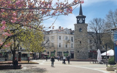 Какво е разпределението на мандатите в 29-и многомандатен избирателен район - Хасково след проведените парламентарни избори