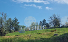 Какво е разпределението на мандатите в 28-ми многомандатен изборен район – Търговище