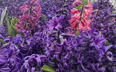 Слънчево и топло