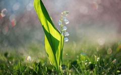 Обрат във времето: Слънце и до 21 градуса в петък