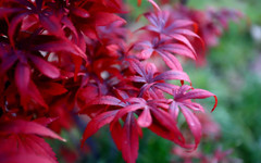 Ветровито време днес, утре се затопля