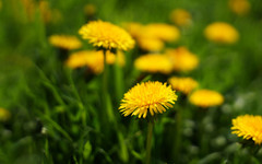 До 25 градуса през почивните дни