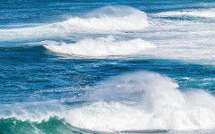 Силен вятър удря страната, но идват най-приятните температури