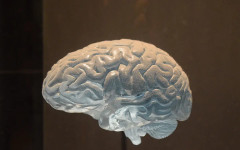 Невролози посочиха 5 навика, от които трябва да се откажете веднага