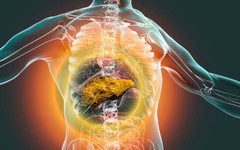 Първи по смъртност! Къде и защо катастрофира българският антираков план?