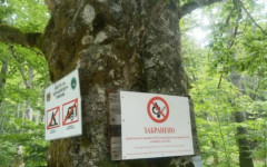 Въвеждат строга забрана за палене на огън в Природен парк "Рилски манастир"