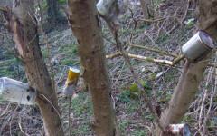 РИОСВ разпореди почистването на две нерегламентирани сметища – в Търновско и Павликенско